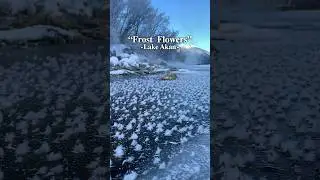 Beautiful frost flower in Lake Akan｜Hokkaido Airports Co., Ltd.｜JNTO Members