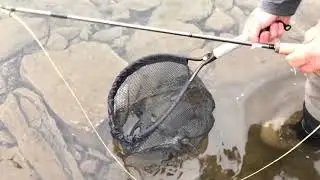 Flugfiske i Ransarån 2017
