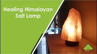 Healing Himalayan Salt Lamp | Apartment18 | Home Decor Items | Review