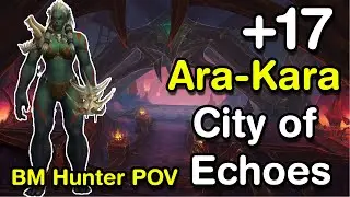 Beast Master Hunter | Ara-Kara, City of Echoes +17 | WoW The War Within Mythic+
