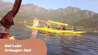 Dal Lake Kashmir | Ultimate Shikara Ride | Houseboat Tour & Floating Market