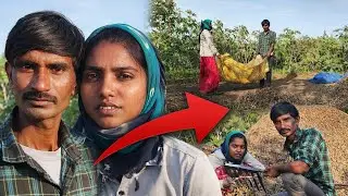  Real Indian Farming Life🌾Indian Agriculture from Seed to Harvest