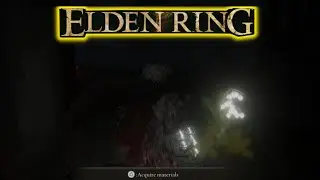 Elden Ring Grave Glovewort 7, 8, & 9 Same Location (Easy Guide)