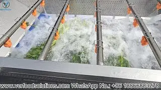Celery 3m Air Bubble Fruit and Vegetable Washing Machine Test Delivery for South African Customer