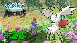 Pokemon Legends Arceus #26 - Thu Phục Huyền Ảo Shaymin