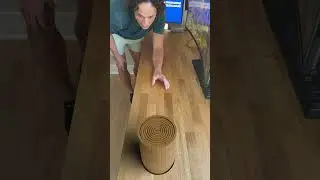 My best one yet