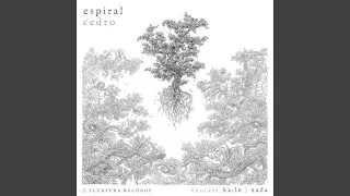 Caracol (Ka:lu Remix)