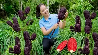 Harvesting 5000+Kg GIANT Pineapple Purple To Sell At The Market | Thơm's Bushcraft