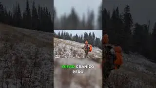 Tormenta invernal pero la caza sigue #hunting #extreme #weatherproof
