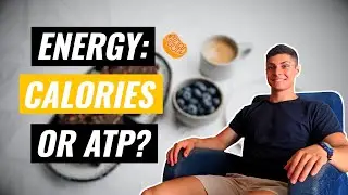 Metabolic Energy: Calories and ATP