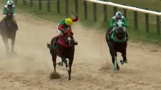 SINAI THUNDER - CAMPEON 2da POLLA HARAS OASIS - Hip&oacute;dromo Flores - 500m - 03/04/2022