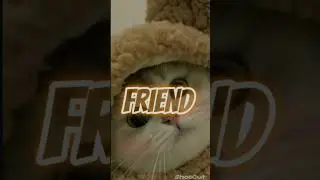 Friend Zone #рек #friends #friendzone #рекомендации #trending #тренд #fypシ #хочуврек #переписка #пон