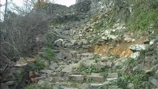 `* Tartous Syria *`