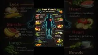 Best Foods for Your Body: Boost Your Health with These Nutrient-Packed Superfoods