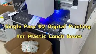 Single Pass UV Digital Printing  for Plastic Lunch Boxes
