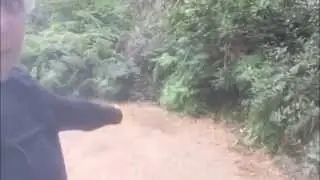 WHERE HAVE I BEEN?