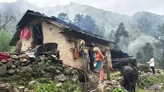 This is Beautiful Mountain Shepherd Life Nepal || Peaceful and Relaxing life Nepal 