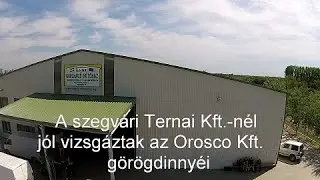 A szegvári Ternai Kft.-nél jól vizsgáztak az Orosco Kft. görögdinnyéi