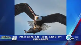 Picture of the Day: June 19, 2025