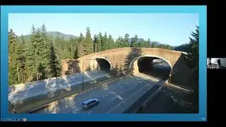 Why Did The Ecosystem Cross The Road?