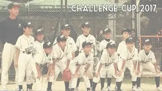 Challenge Cup 2017 - Hong Kong Little League