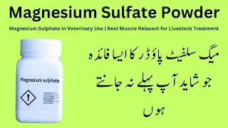 Magnesium Sulphate in Veterinary Use | Best Muscle Relaxant for Livestock Treatment
