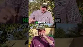 Time With Your Tribe- Dogs Included | 10x Your Team with Cam & Otis