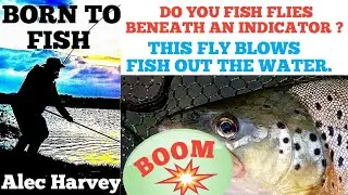 FLY TYING - A DEADLY FLY FOR INDICATOR FISHING.