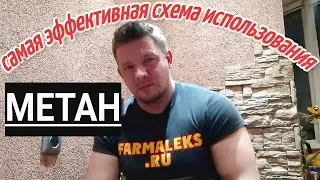 Метандростенолон две схемы использования