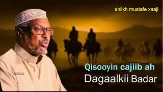 Qisooyin aad cajiib u ah|| Dagaalkii badar|| Shiikh mustafe xaaji ismaaciil 