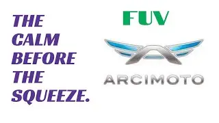 42% Short Interest On FUV Stock And No Short Squeeze Yet. Is FUV A Good Stock To Buy?