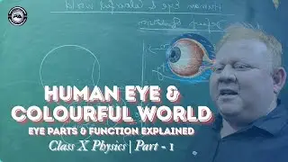 Human Eye - Introduction, Parts & Functions Explained | Class 10 Physics | CBSE NCERT