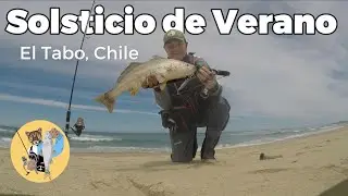 Corvina En Solsticio de Verano 2025-2026 #corvina #pesca #fishing #spinning #se&ntilde;uelo