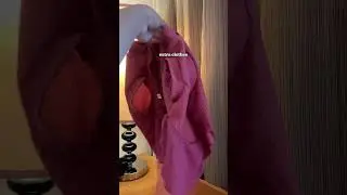 Staycation Essentials (Pet Version) | Pet Friendly Hotels, Philippines