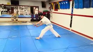 Aikido forward and backward rolls
