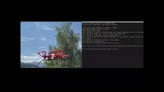 TinyML Approach for Beans Leaf Diseases Classiﬁcation Using Sony Spresense