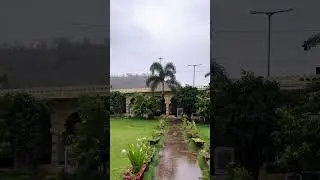 Monsoon Bliss