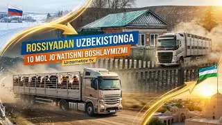 2026-YIL ROSSIYADA BUQA VA SIGIR OLIB KELISH TARTIBI,QANCHA PUL KERAK BO’LADI