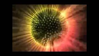 Dataraper - Desert Spear, Dennis Hopper Tribute