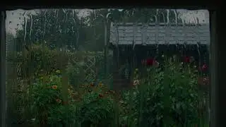 Rainy Window View & Distant Thunder 🌧️ Cozy Night Ambience for Sleep and Relaxation (8 Hours)