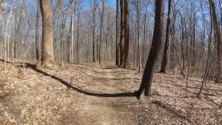 ASMR Hiking [Binaural] Beautiful Winter Day Hike with Peaceful Walking Sounds (Part 1)