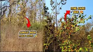 Aaj to jungle mein fas Gaye 😰