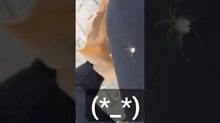 low quality shit post 5 #hashtag