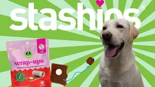How to Use Stashios Wrap-Ups!