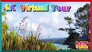 [4K Virtual Tour]🍀Green Bay Beach 🍀Manukau Coastal Walkway#Auckland#NewZealand