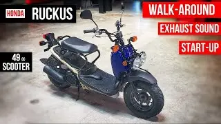 New Honda Ruckus 49cc Scooter Walkaround + Exhaust & Engine Sound | NPS50 | Midnight Blue / Tan