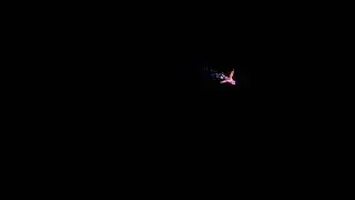 Spyro 1 sunny flight trophy barnstormer