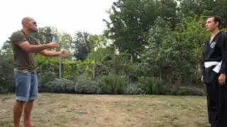 Viet Vo Dao vs Tamarreide
