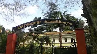 وثائقي قصير حول حديقة الحامة