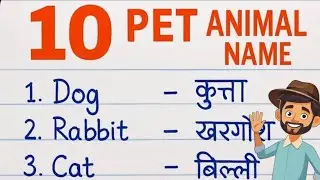 10 Pet Animals Name in English | Kids Learning Video | Top 20 Domestic Animals for Students 